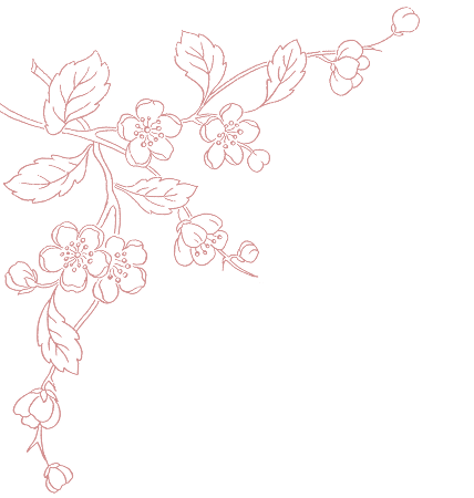 Floral Sketch Top Left